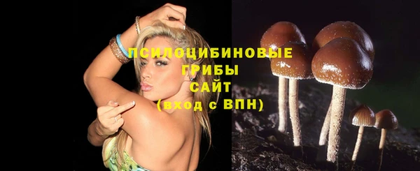 индика Киреевск