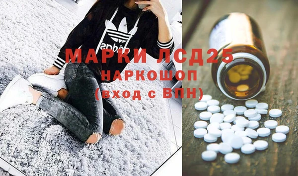 индика Киреевск