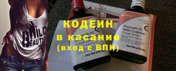 индика Киреевск