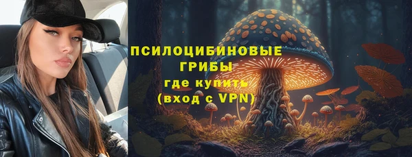 индика Киреевск