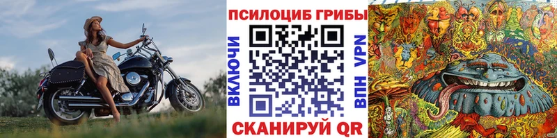 Псилоцибиновые грибы мухоморы  даркнет сайт  Ногинск 